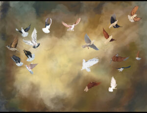 Pigeons of Freedom