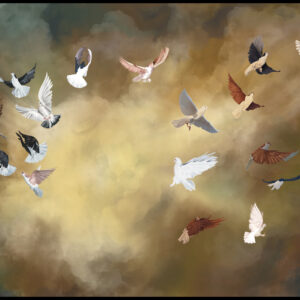 Pigeons of Freedom