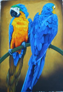 Yingyang Macaw